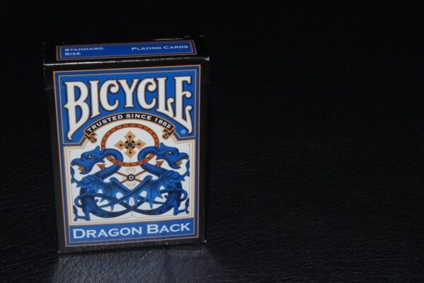 bicycle dragon blue5