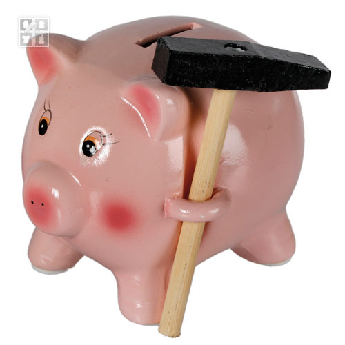 Kasica Prasica 1 Kasica Prasica